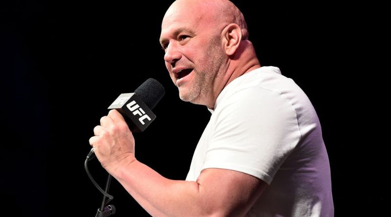 dana white net worth