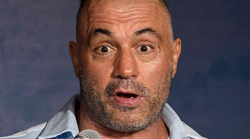 joe rogan net worth
